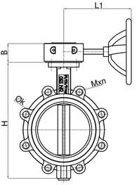 Lug Tip Kelebek Vana — site.urun_teknik_cizim