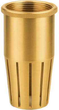 Brass Threaded Foot Valve